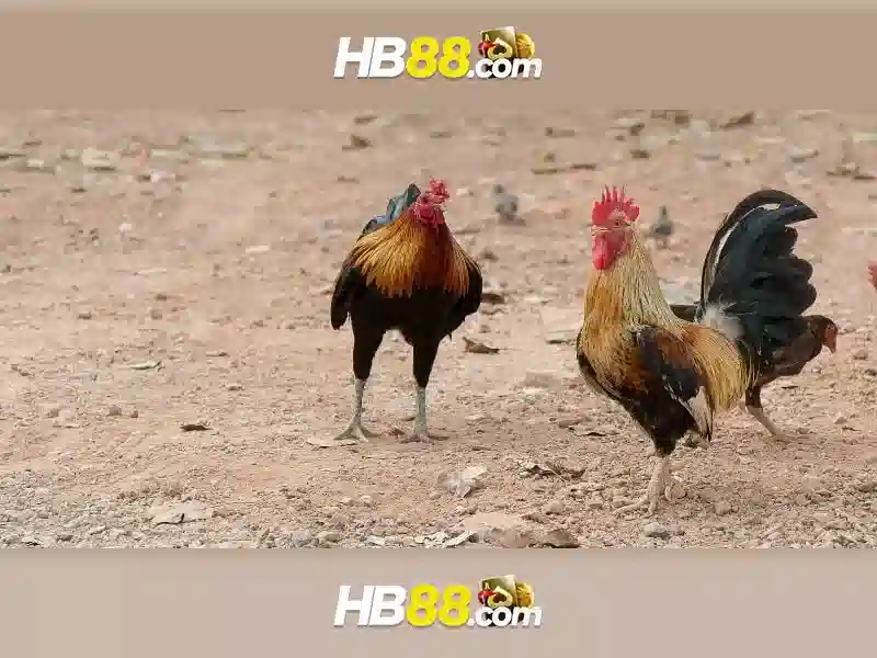 Trải Nghiệm Slot HB88