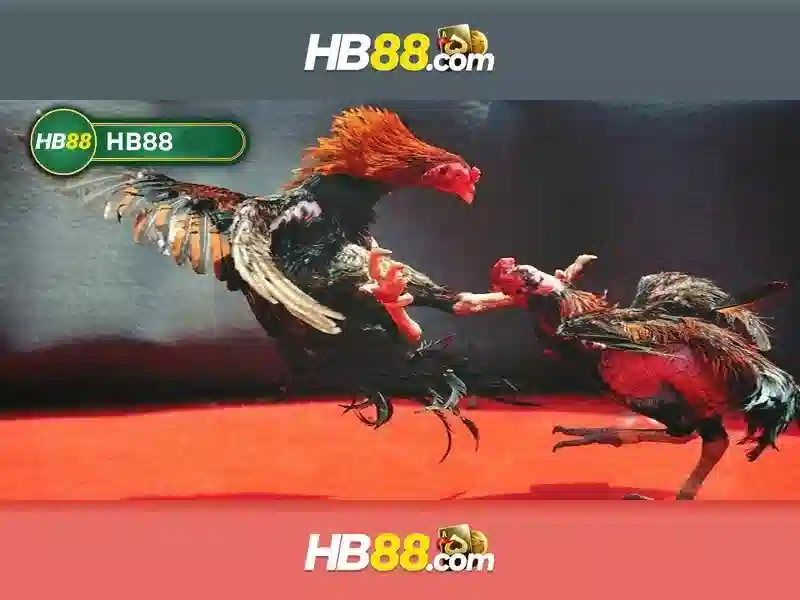Hướng Dẫn Đăng Nhập HB88 Cho Người Mới