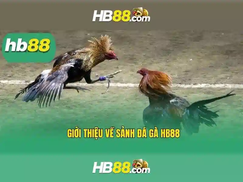 HB88 – Hướng Dẫn Đăng Nhập HB88 Trực Tuyến, Tải App, Khuyến Mãi 2026