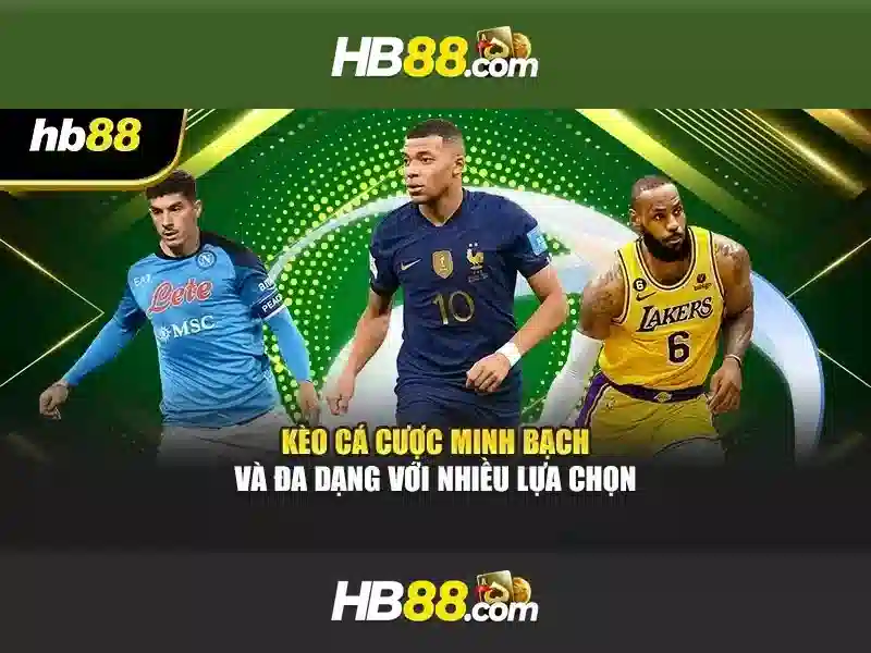 Trải nghiệm cá cược