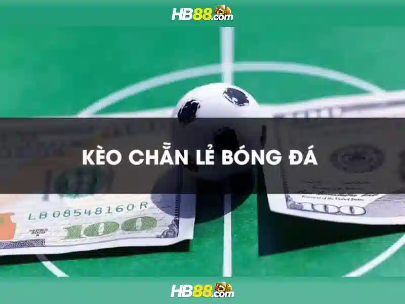 Cá cược Slot HB88
