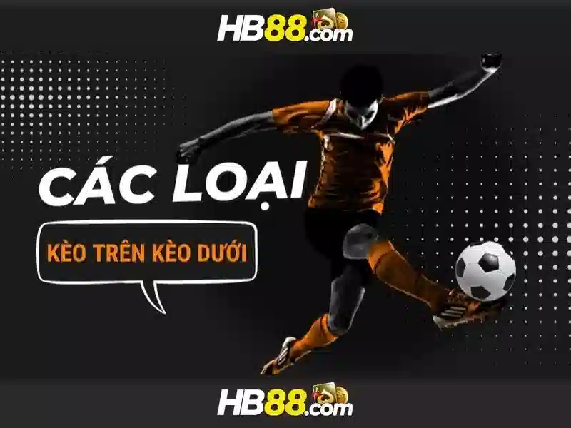 dịch vụ hỗ trợ hb88