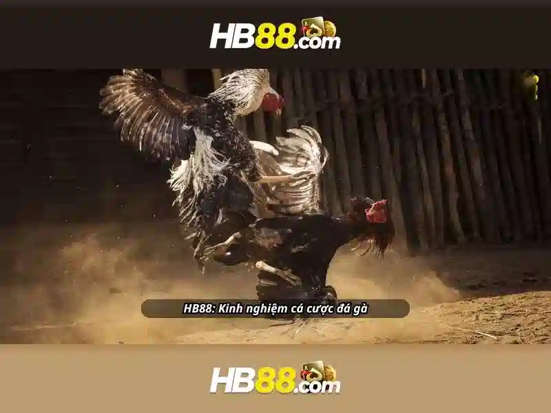 HB88