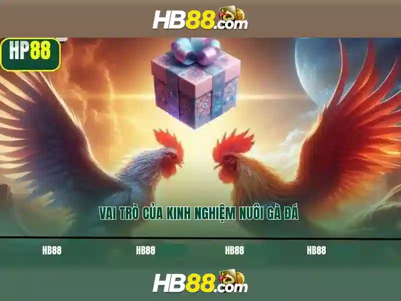 Tối Ưu Trải Nghiệm Slot HB88