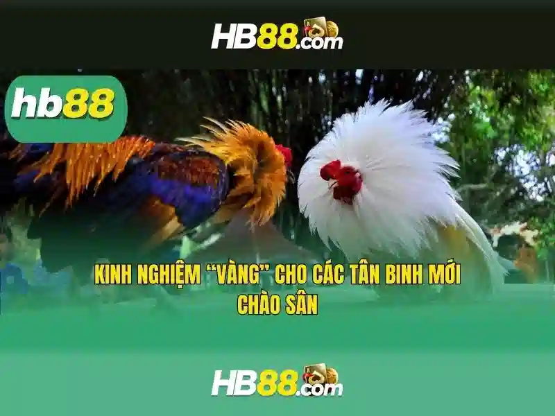 trải nghiệm slot