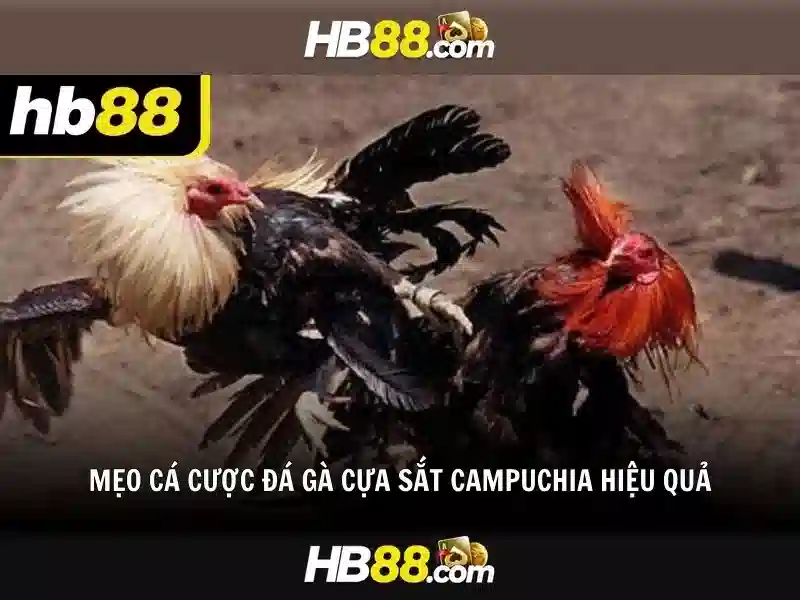 Link Tại HB88