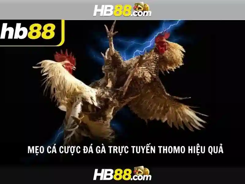 HB88 link hb88 hiện đang mở