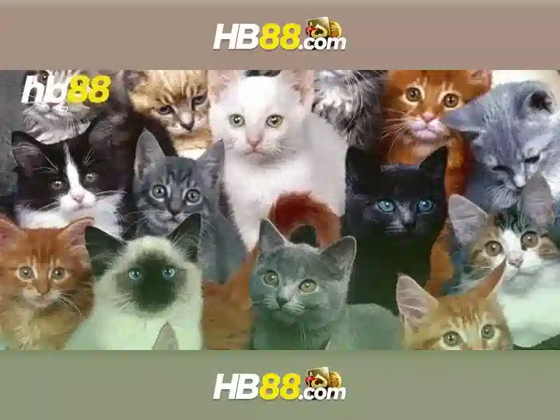 Công Nghệ An Toàn HB88