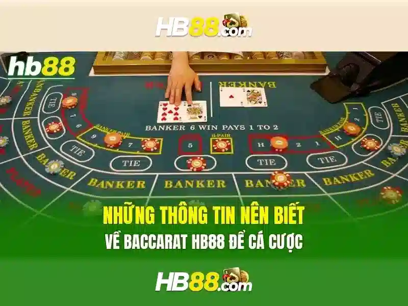 Đặc Điểm Nổi Bật