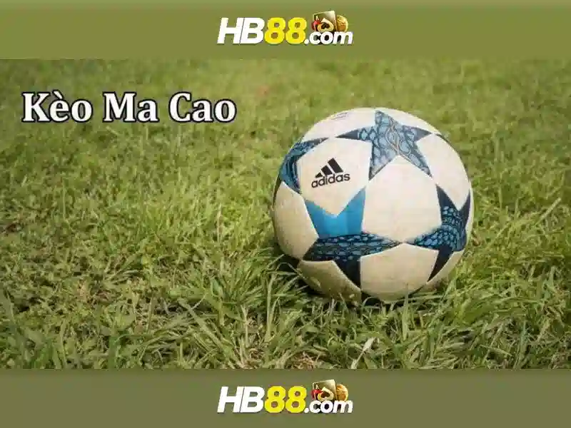 Tải HB88 và trải nghiệm Slot, game bài, bắn cá, xóc đĩa, liêng, sâm lốc, Poke The Guy, Baseball tại HB88