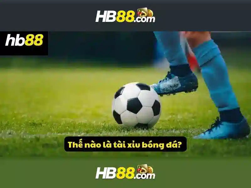 Ưu Đãi Đặc Biệt Cho Thành Viên HB88