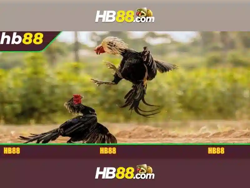 HB88 Casino Deposit