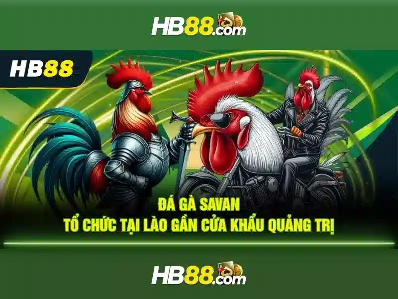 Công cụ kiểm soát tài chính tại HB88