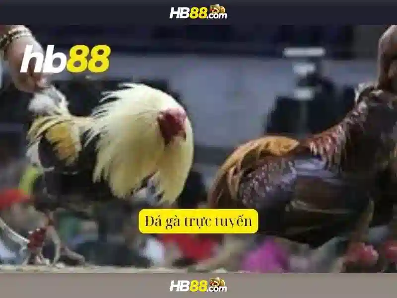 Lợi Ích Nạp Tiền HB88