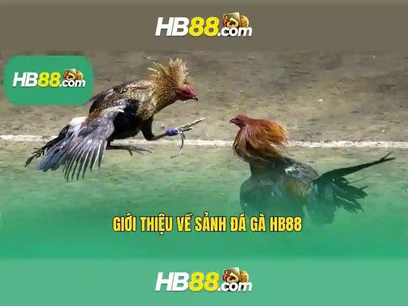 Khám Phá HB88