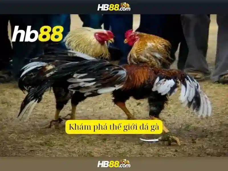 Lợi Ích Khi Tham Gia