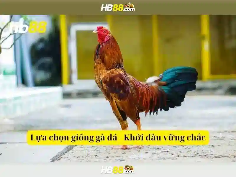 Ưu Đãi Đặc Biệt