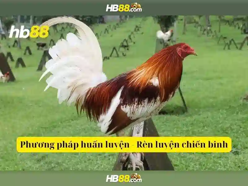 Ưu Đãi Slots cao cấp