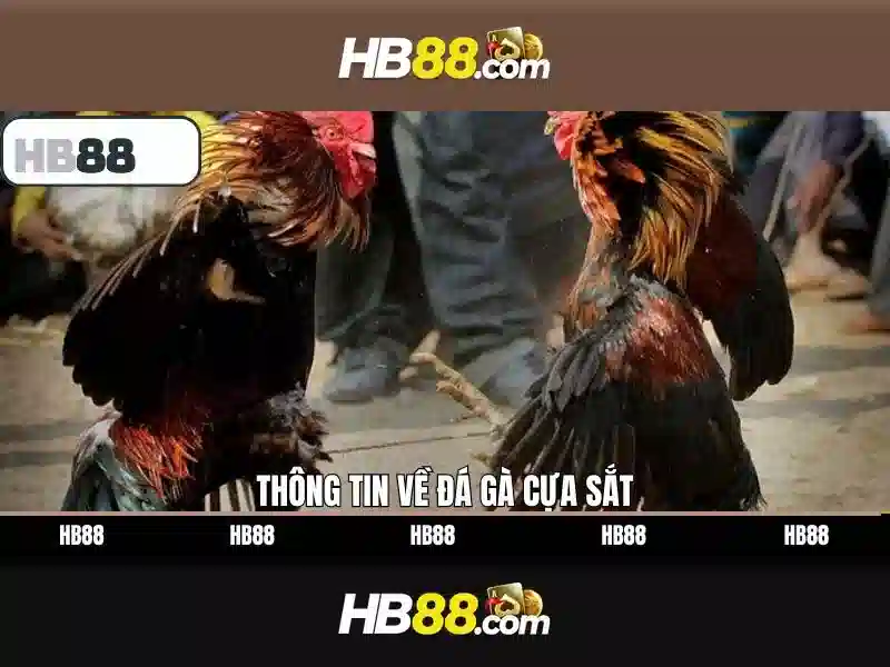 Tải HB88
