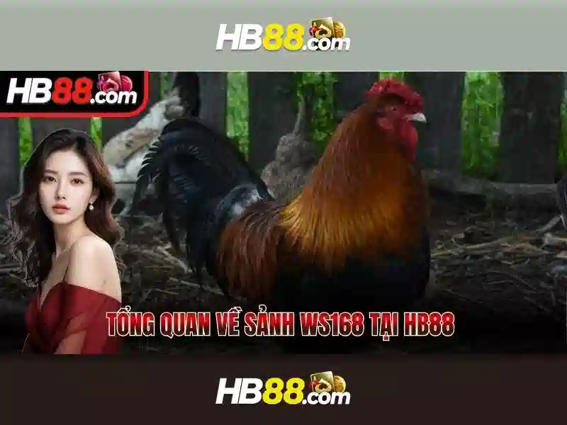 Lựa Chọn Slot Có Tỷ Lệ Trúng Cao