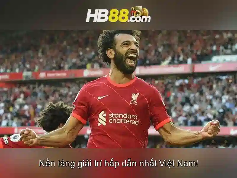 hình thức liên hệ