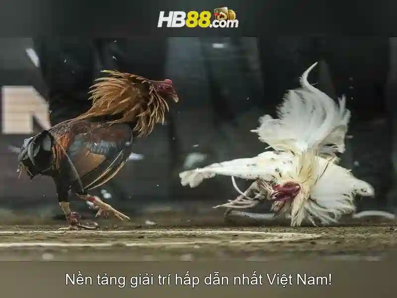 HB88 Club - Các Tựa Game Slot Đa Dạng