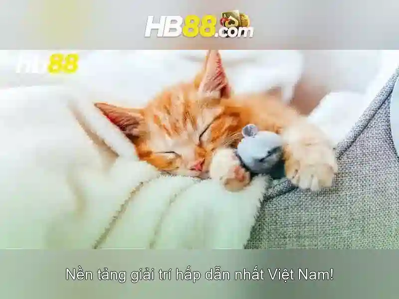 Tính năng nổi bật