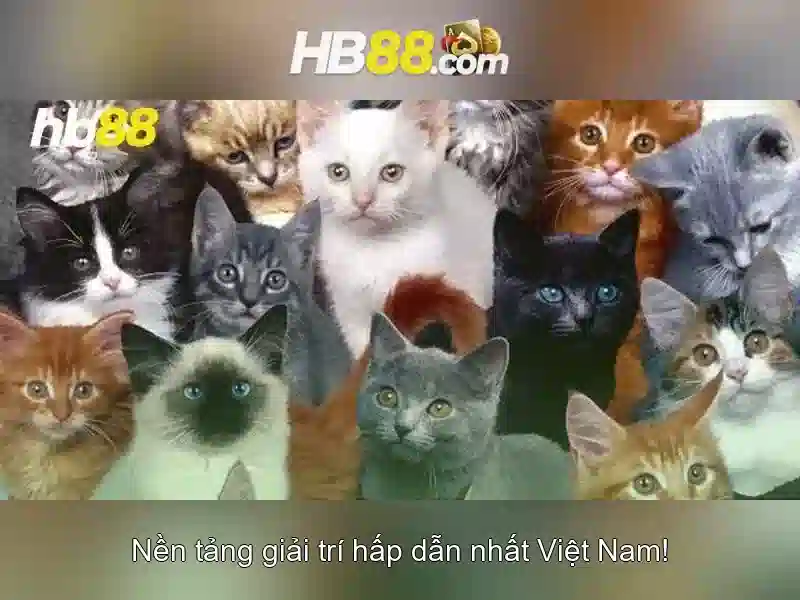 Trải Nghiệm Slot Đổi Thưởng