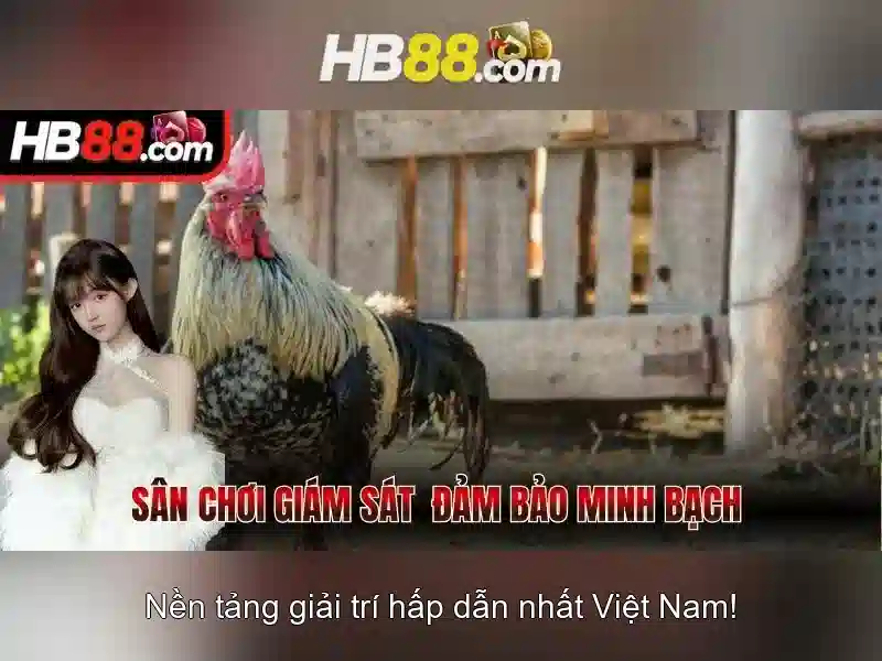 Hướng Dẫn Đăng Nhập HB88