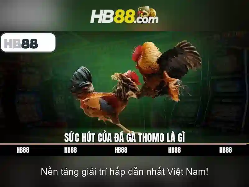 Ưu Đãi Slot