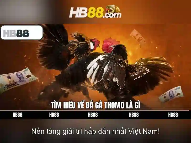 khuyến mãi slot hấp dẫn