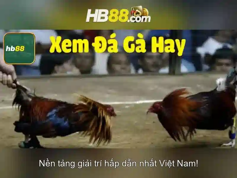 Cách Thức Chơi Slot Tại HB88