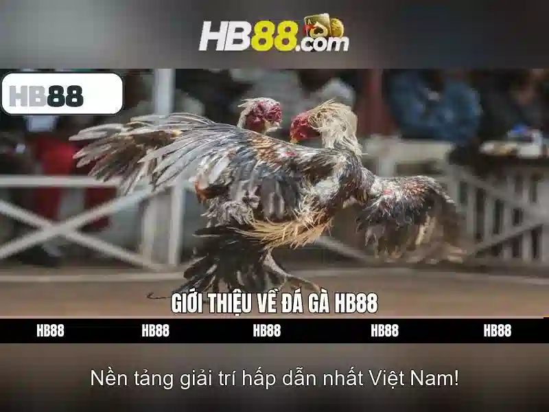 Thể Loại Game HB88