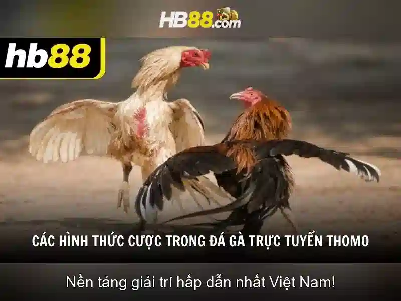 Ưu Điểm Nổi Bật Của Ứng Dụng HB88