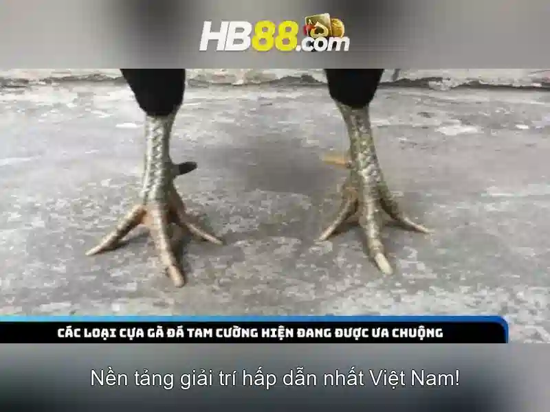 Chương Trình Ưu Đãi HB88