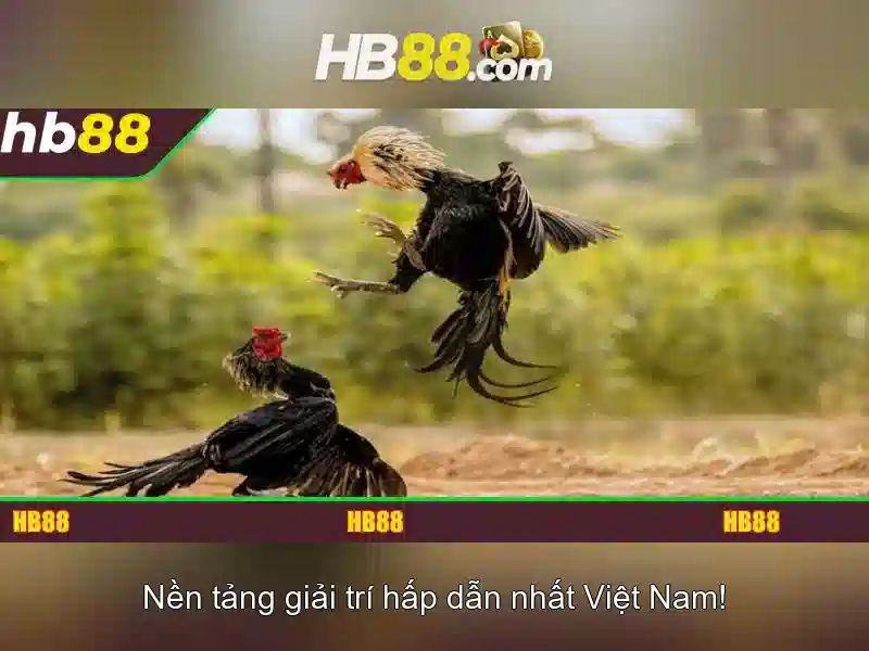 Trải nghiệm game HB88
