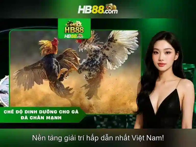 Ưu Đãi hb88 Nhà Cái