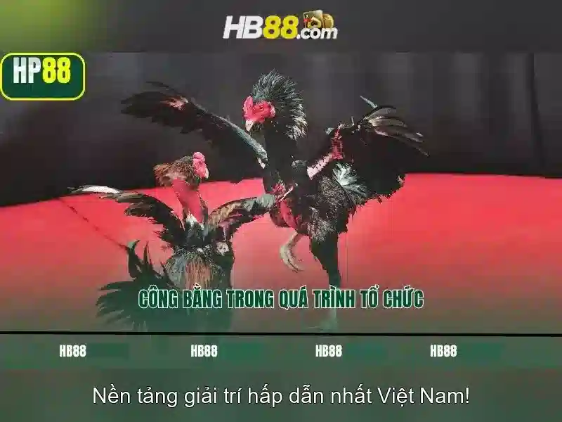 Trải Nghiệm Slot Đa Dạng