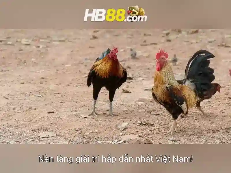 Khuyến Mãi Slot HB88