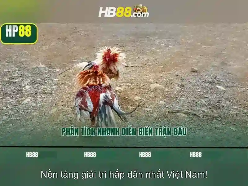 hỗ trợ bảo mật HB88