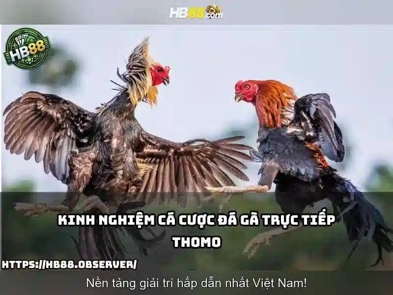 hb88 trang chủ