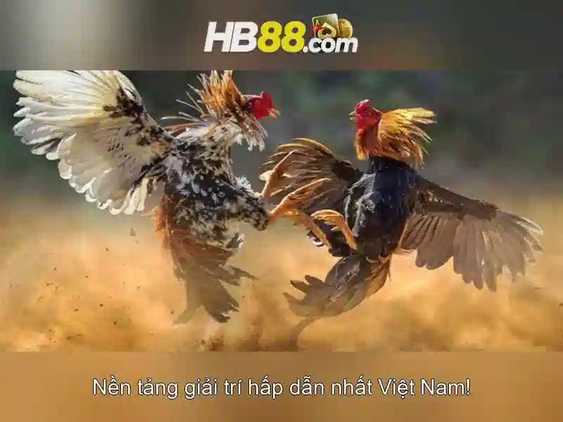 Công Nghệ Mã Hóa Tiên Tiến
